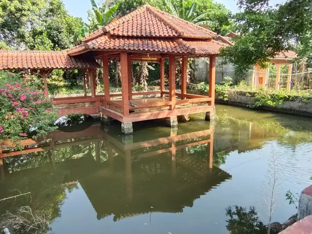 Dijual Rumah dan Tanah ex Rumah Makan di Ciampea Udik