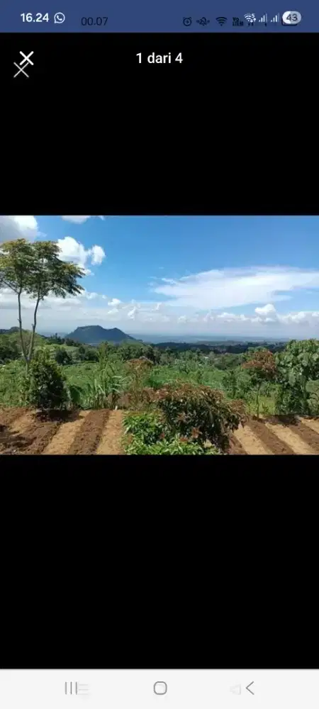 Jual Tanah di kopeng