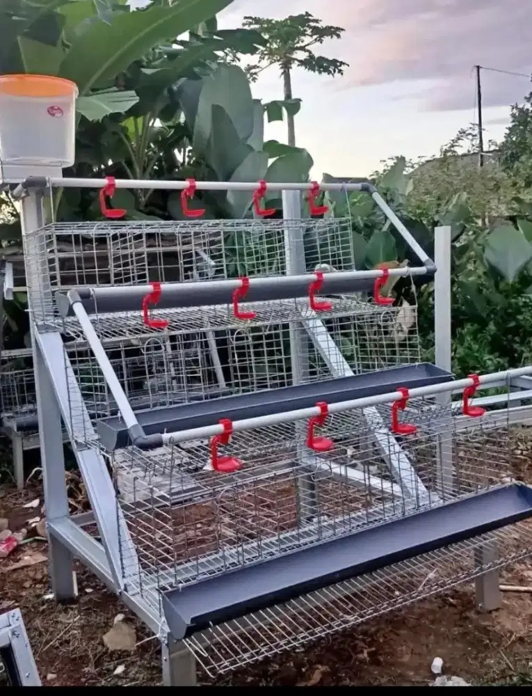 Paket ternak skala rumahan