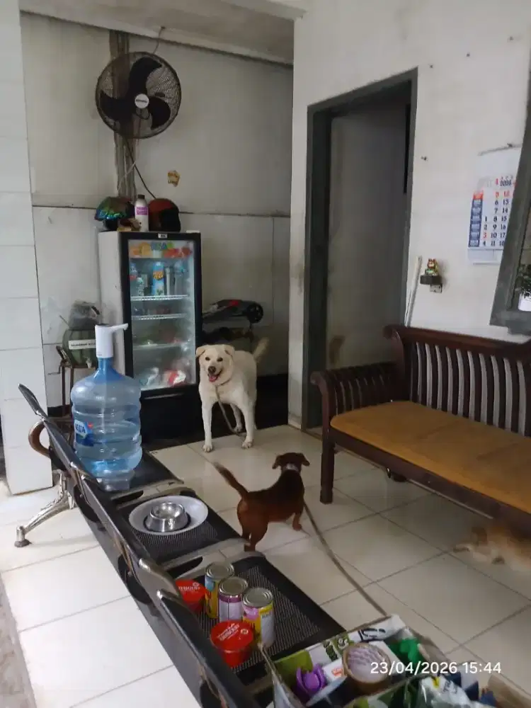 Dibutuhkan tenaga bersih bersih