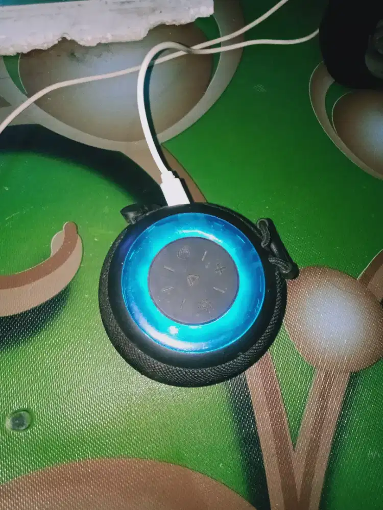 Spiker wireless Blothoot Acmis mulus