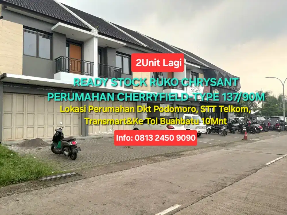 RUKO CHRYSANT CHERRYFIELD READY STOCK