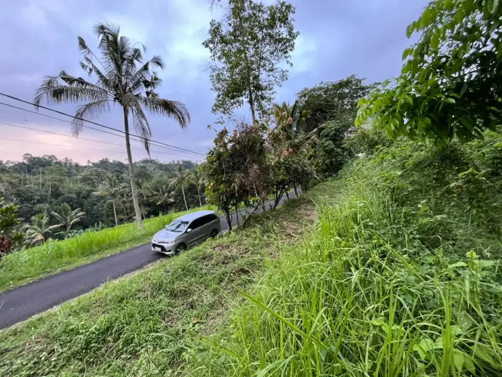 Dijual Tanah Kebun View Sawah Dan Lembah Di Penebel Tabanan Bali
