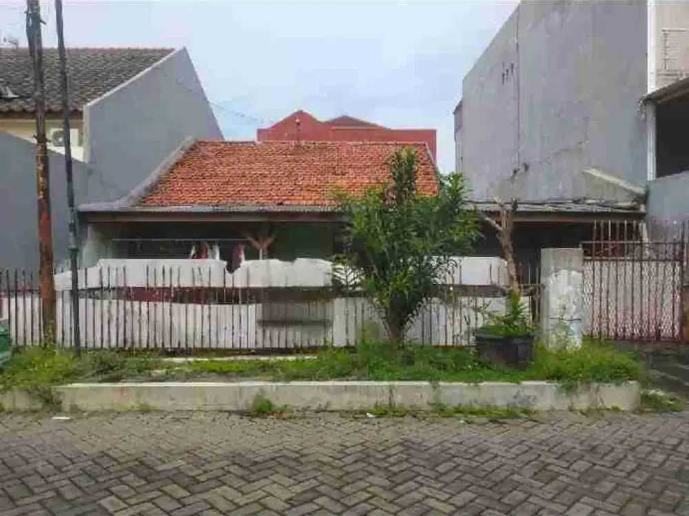 Termurah
Rumah Hitung Tanah
Lokasi Gayungsari Surabaya
(Dekat Masjid Al Akbar,Masjid & Sekolah Al Hikmah,Trans Icon,POLDA Jatim,Akses Tol)