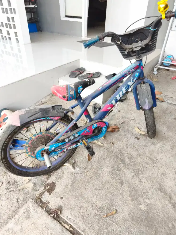 Preloved Sepeda anak TREX
