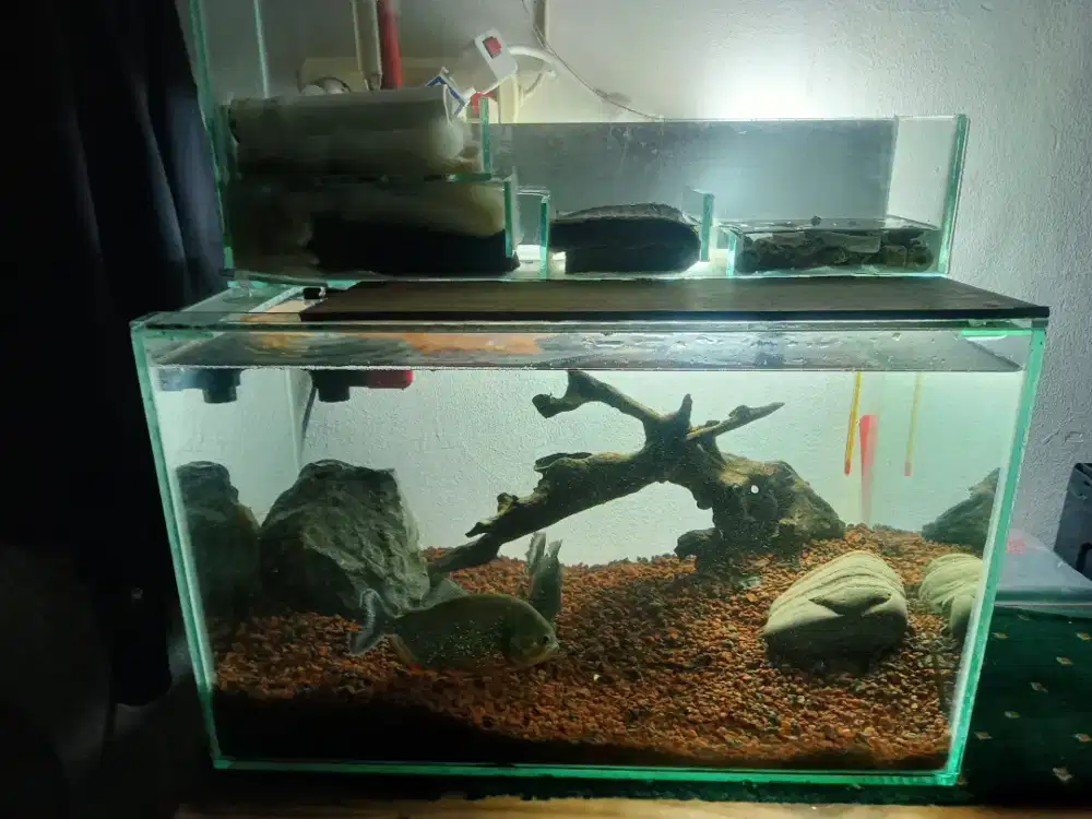 Aquarium 50X30x30 talang  cinastyle