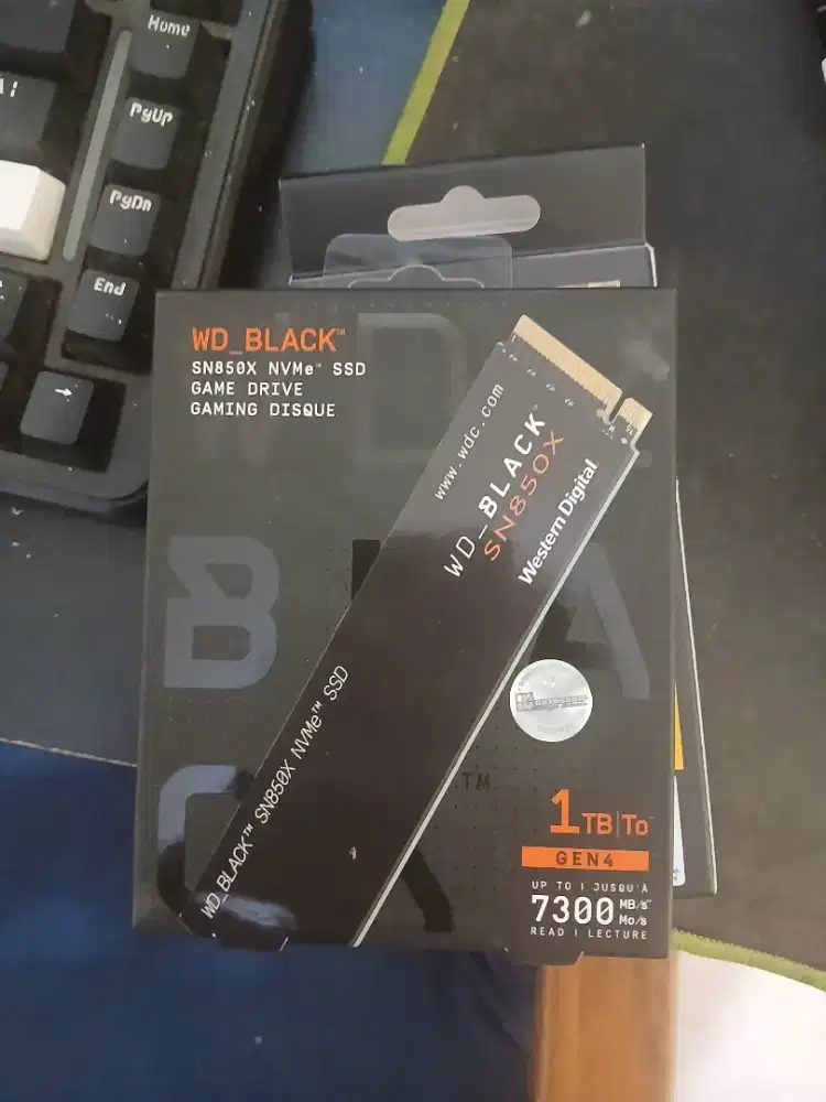 SSD WODPOSIT 1 TB