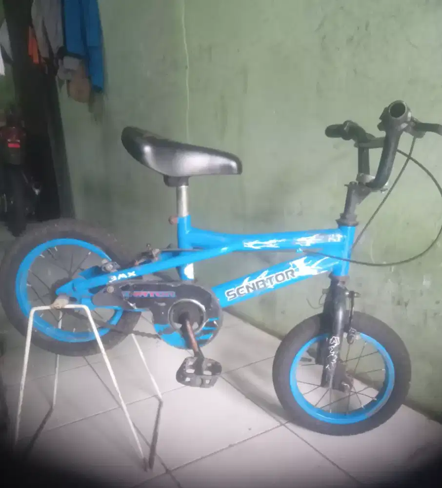 Sepeda anak senator UK 12
