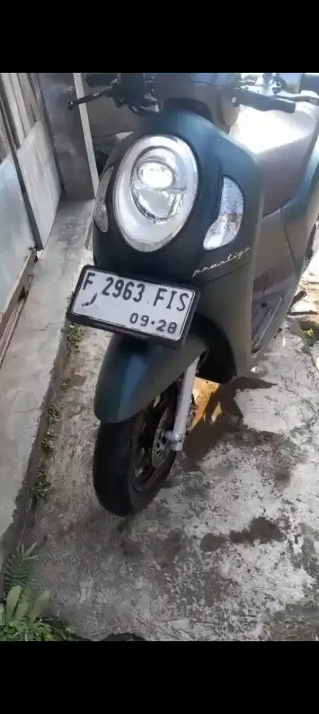 Honda sucupi 2023
