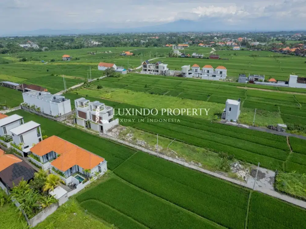 DISEWAKAN JANGKA PANJANG TANAH 1 ARE DI CEMAGI - Thumbnail 5