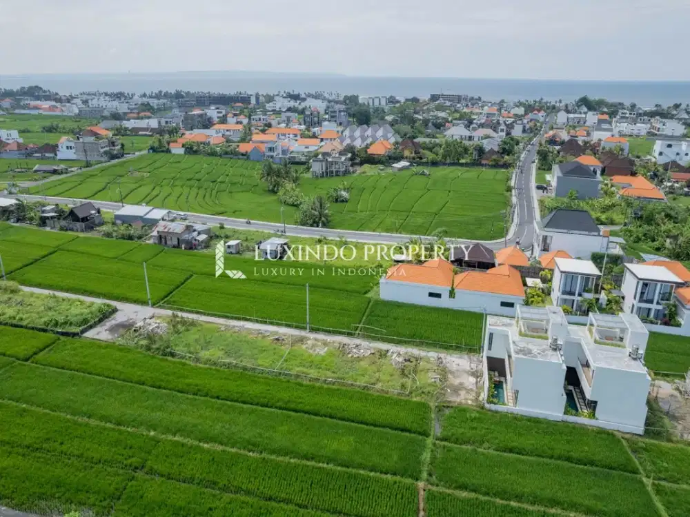 DISEWAKAN JANGKA PANJANG TANAH 1 ARE DI CEMAGI - Thumbnail 4
