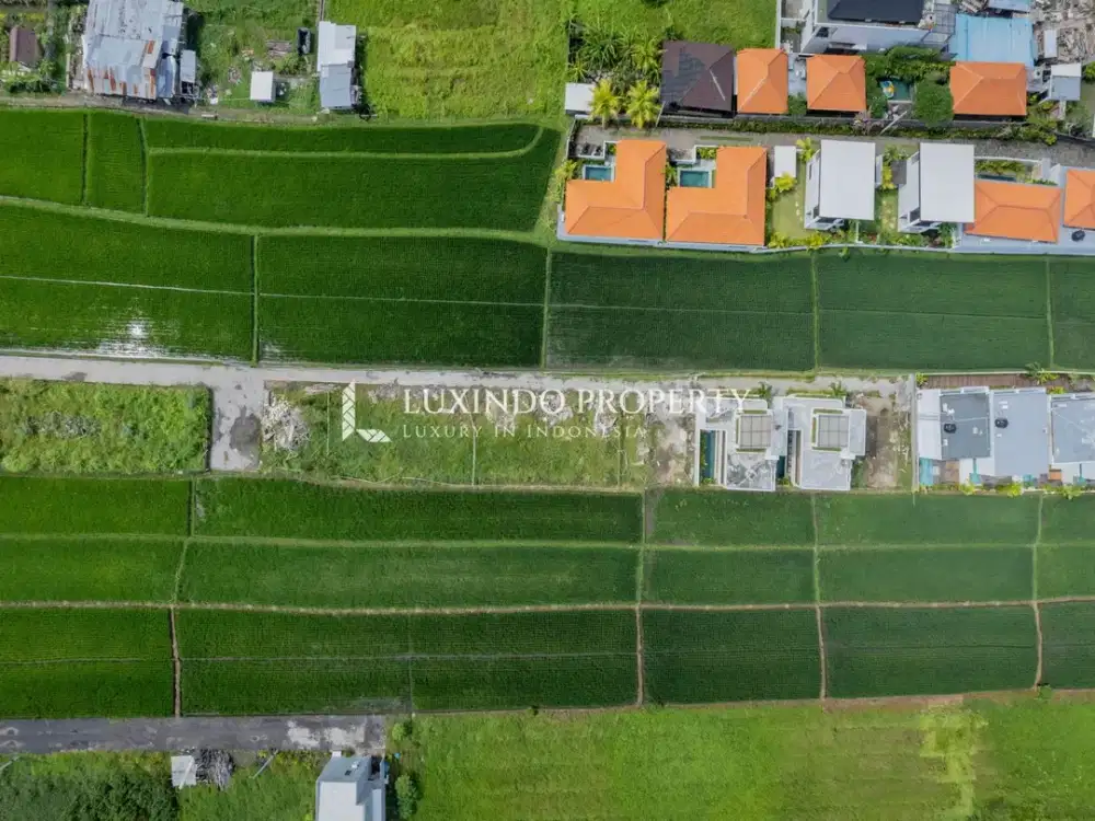 DISEWAKAN JANGKA PANJANG TANAH 1 ARE DI CEMAGI