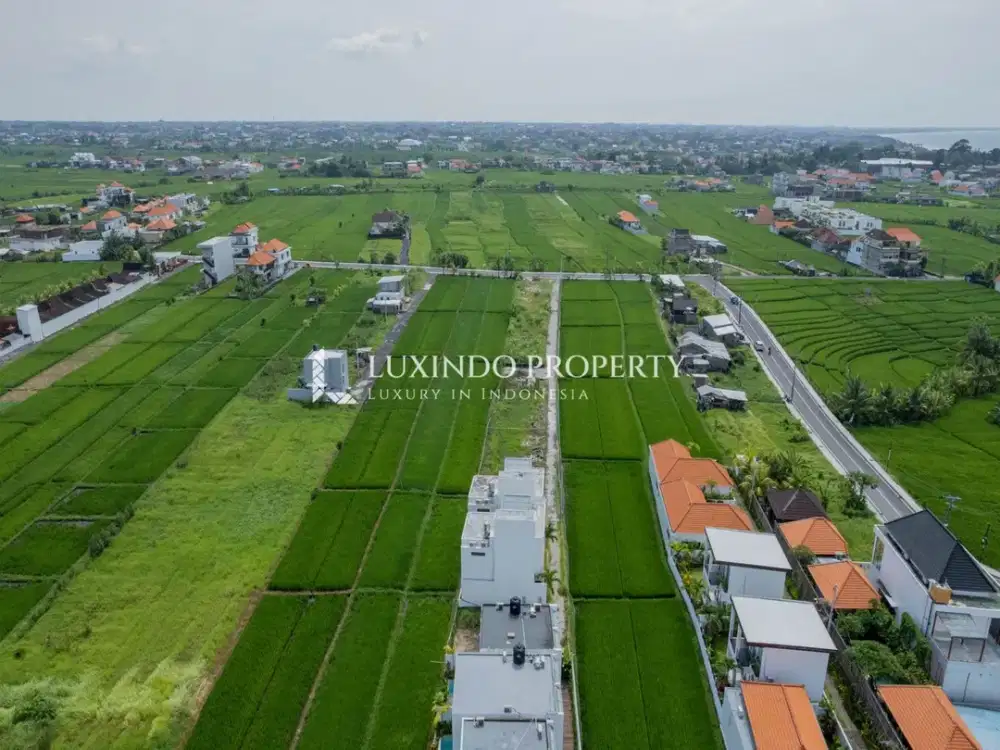 DISEWAKAN JANGKA PANJANG TANAH 1 ARE DI CEMAGI - Thumbnail 6