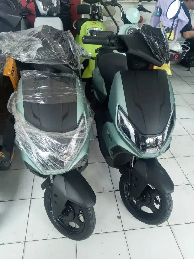 CICILAM RINGAN SELIS D66A TANPA DP