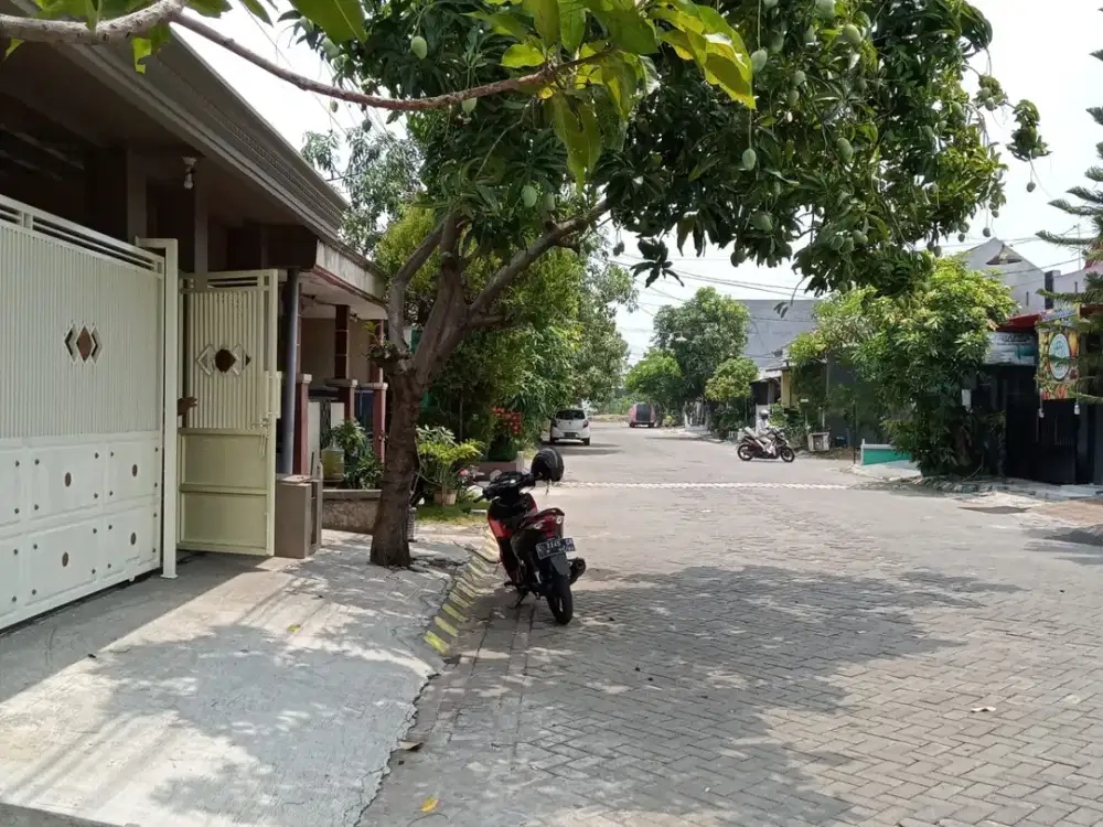 Dijual rumah fresh furnished siap huni di di lingkar timur bluru (NN)