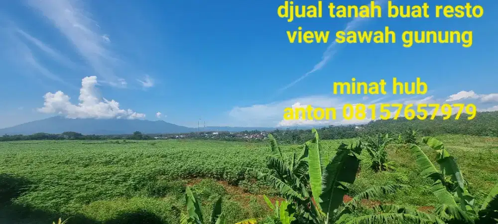 Tanah ±1hektar kota semarang dkt BSB MURAH resto pemancingan bu cepat