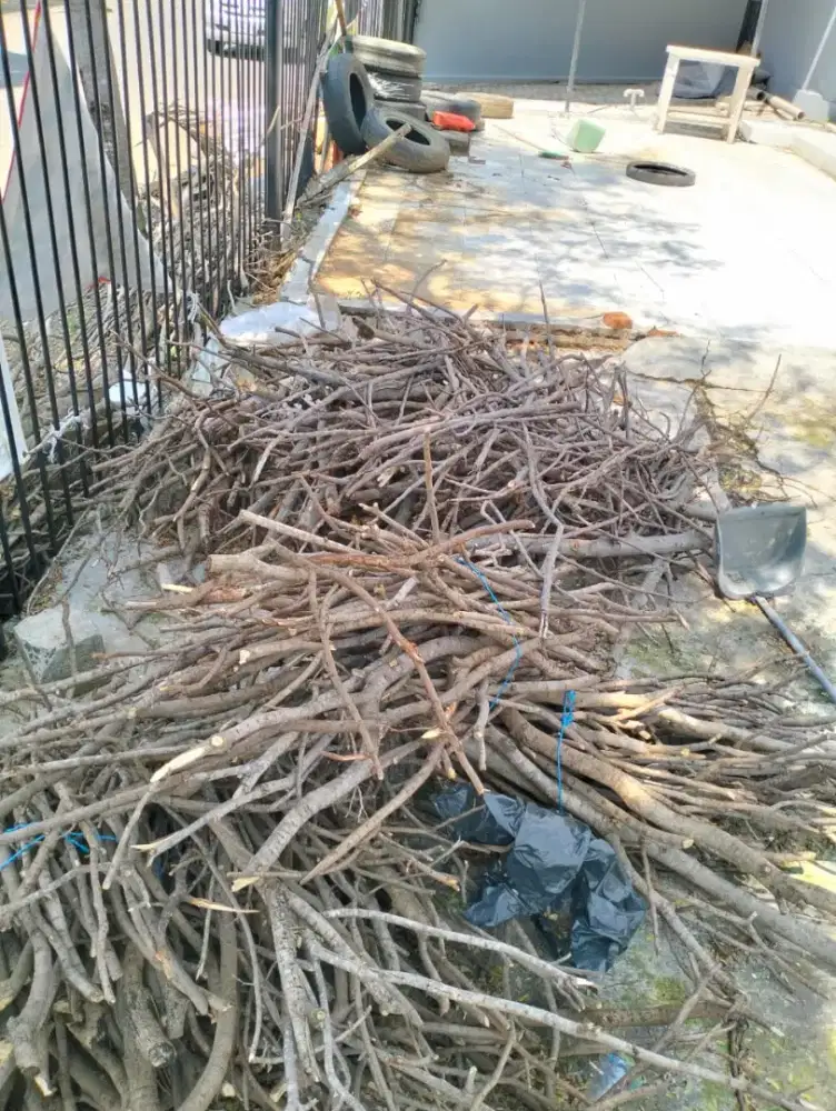 Ranting kayu & piring