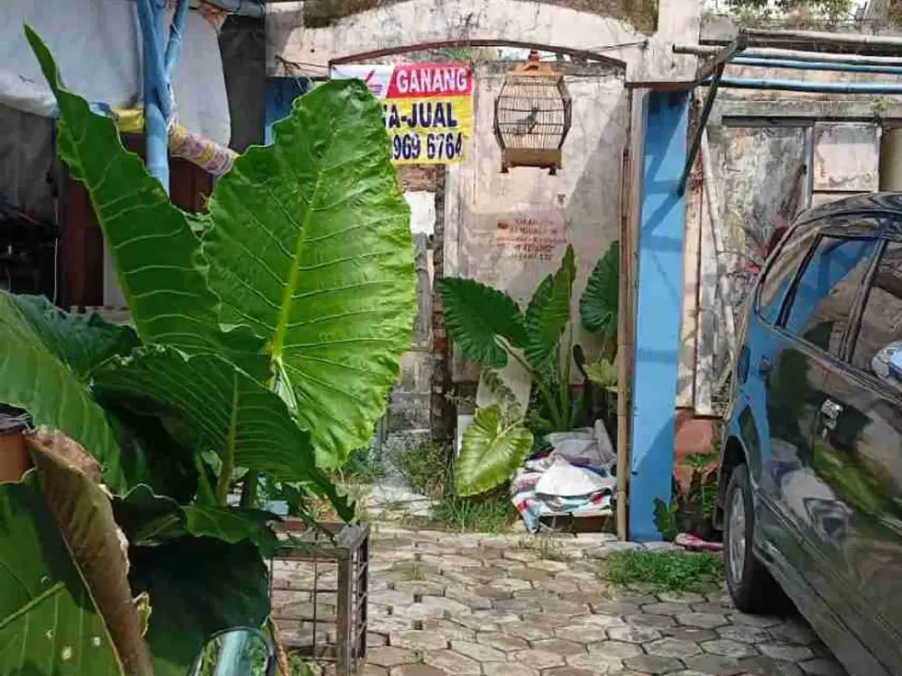 dijual murah rumah hitung tanah saja