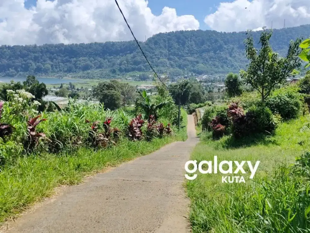 JUAL SEWA TANAH VIEW DANAU BUYAN DI BEDUGUL