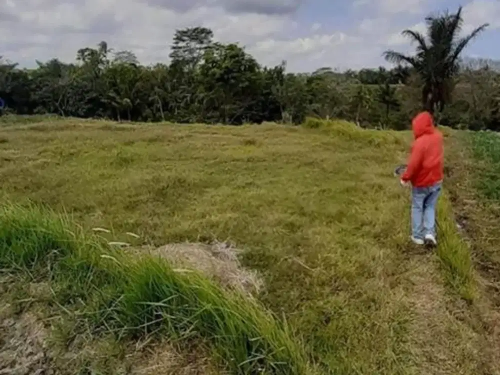 Premium 6 Are Land For Leasehold 30 Years In Prime Ubud Location