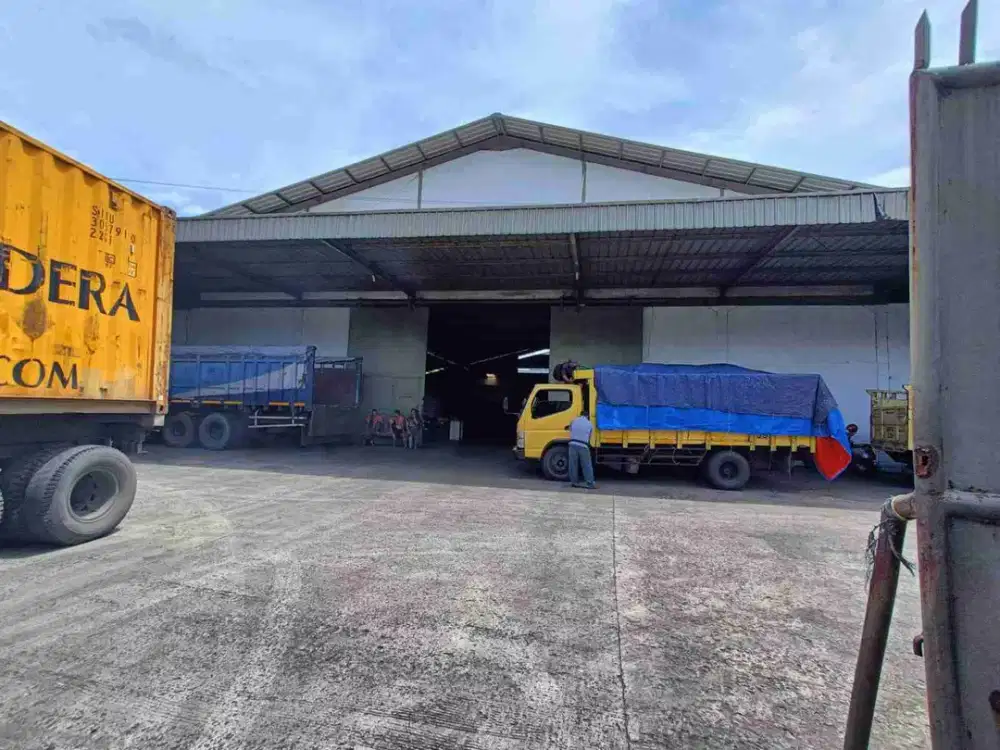 Di Sewa Cepat Gudang Siap Pakai Di Pluit