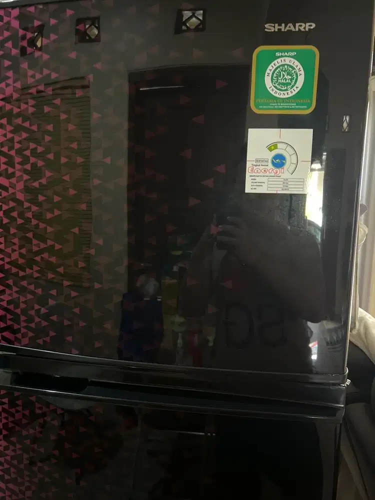Kulkas Sharp 2 pintu