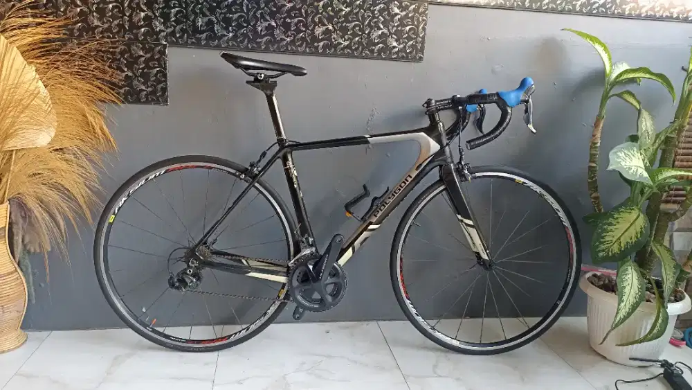 Roadbike Helios A9X