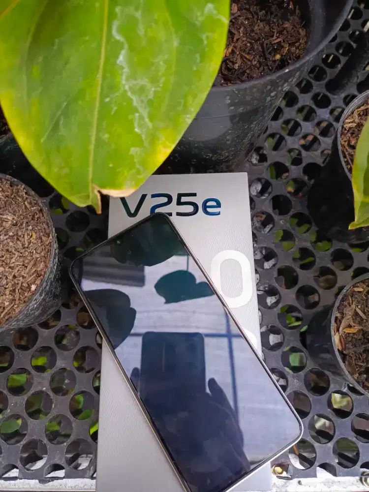 Vivo V25e 8/256