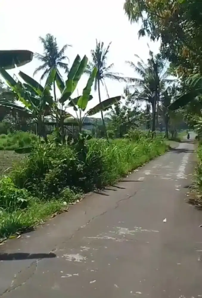 Jual Tanah pekarangan strategis di milir KP mangku jalan aspal