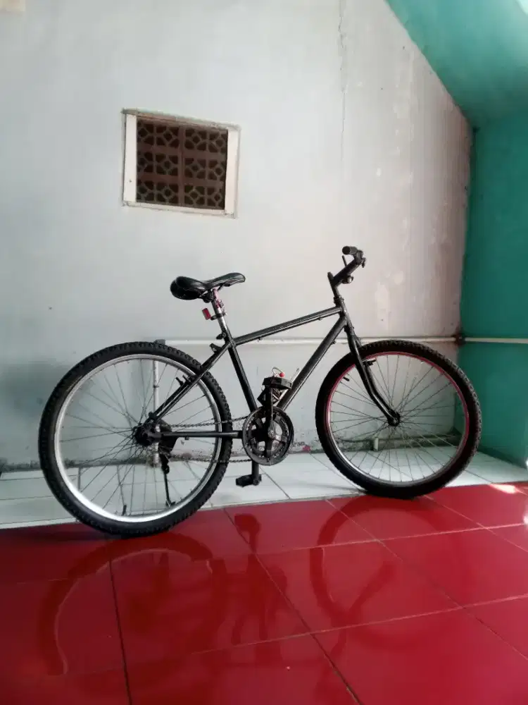 Sepeda ukuran ban 24