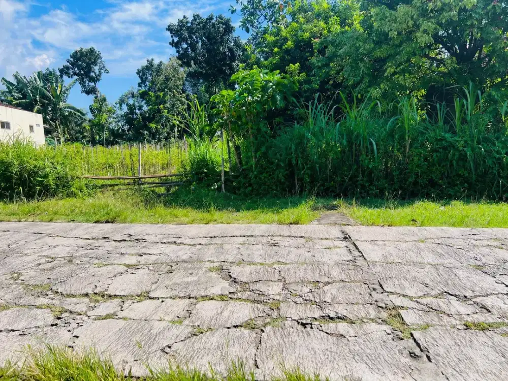 Tanah 250Jt Siap Buka Usaha Karanganyar