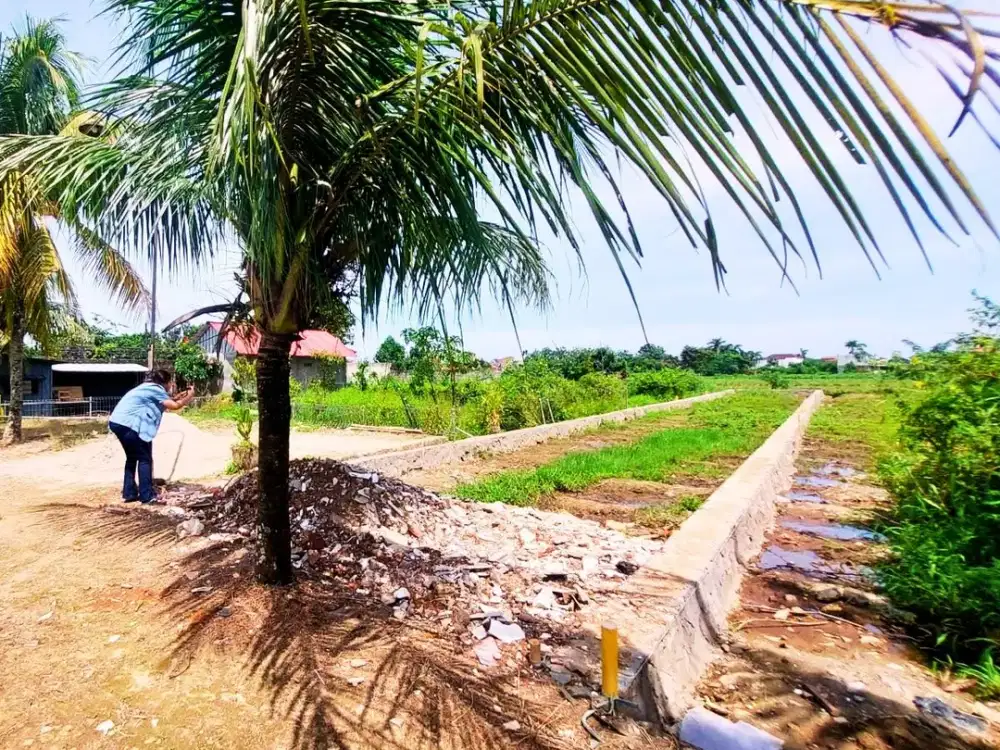 Tanah Kavling Murah Dekat Kampus IPB Dramaga, SHM
