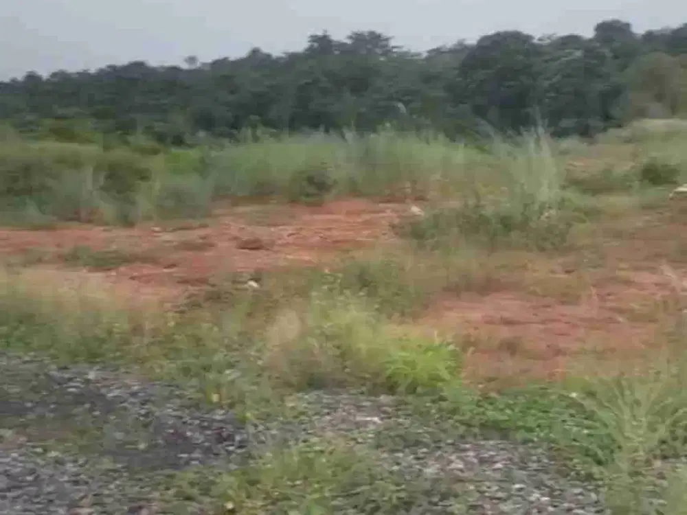 Tanah industri Pekalongan