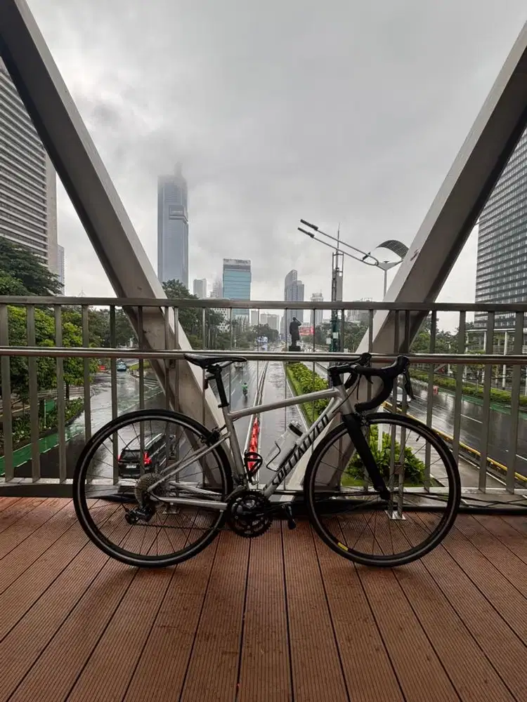 roadbike specialized frame size 49