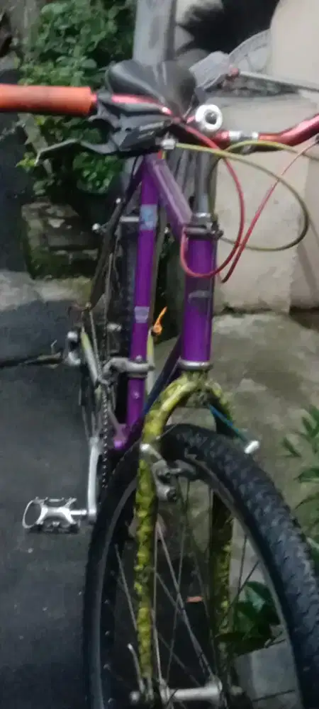 Sepeda BIKE, BIANCHI