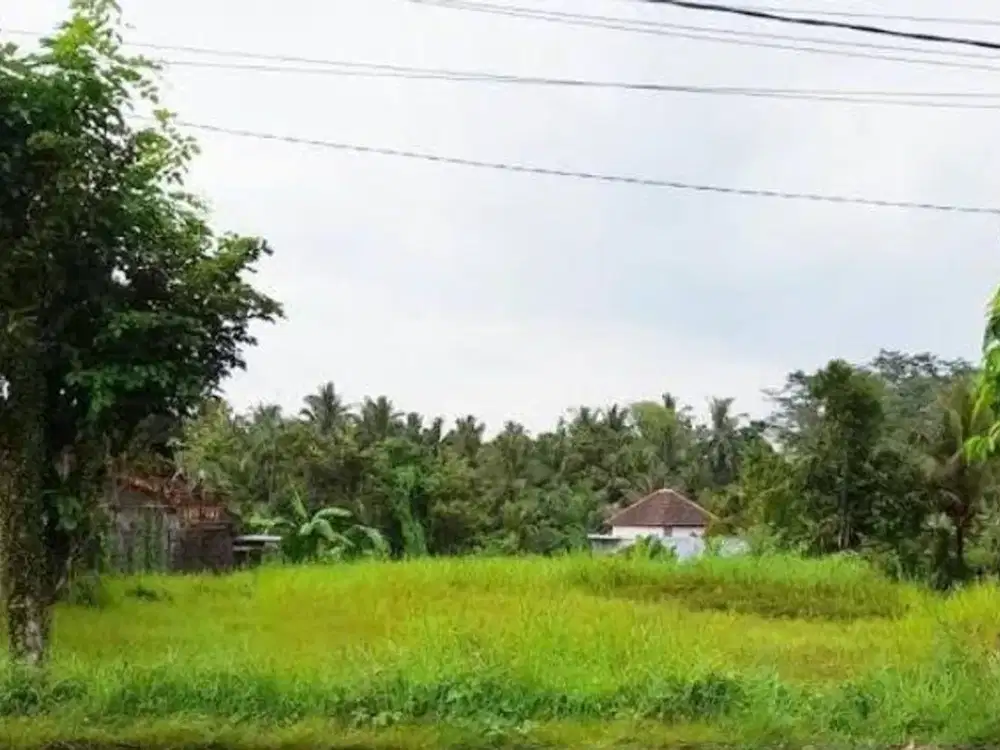 Dijual tanahdi taman sepanjang (WD)