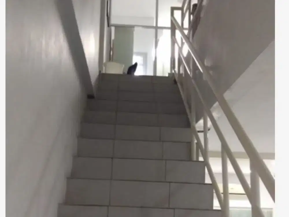 Dijual Cepat Ruko Gandeng 4 Lantai di Mutiara Taman Palem Cengkareng (Lena071)