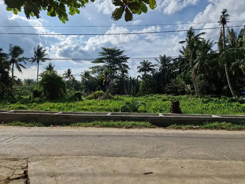 Dijual tanah di lokasi strategis