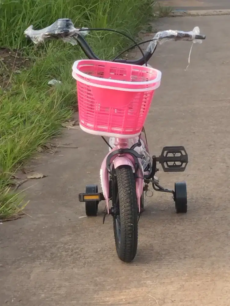 Sepeda keranjang United uk 12