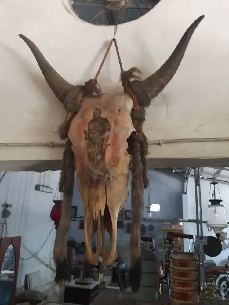 Seni lukis tulang kepala sapi jantan