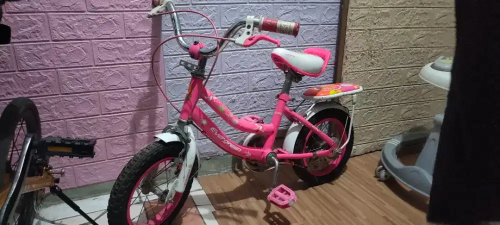 SEPEDA ANAK EVERGREEN