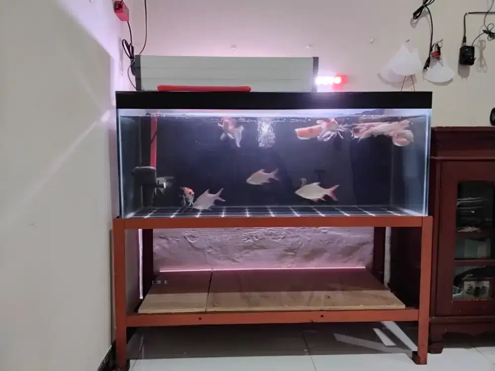1 set paket aquarium