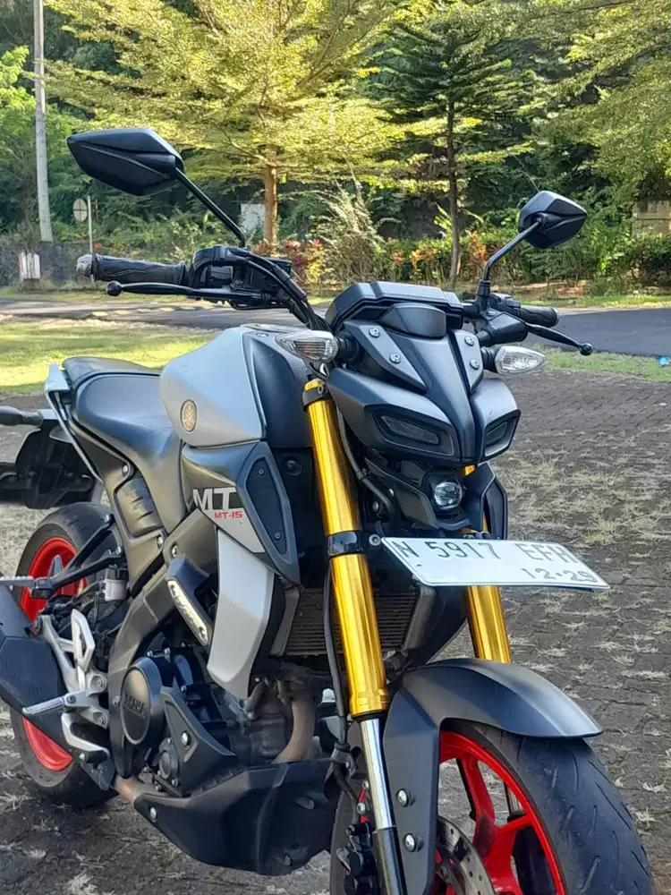 [DIJUAL] Yamaha MT-15 2019 Silver Fluo - Pajak Hidup - Atas Nama Sendi