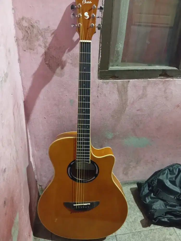 Gitar chees pro ax 40 ORI lokal