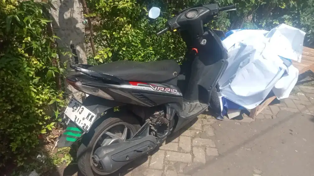 Vario karbu 110