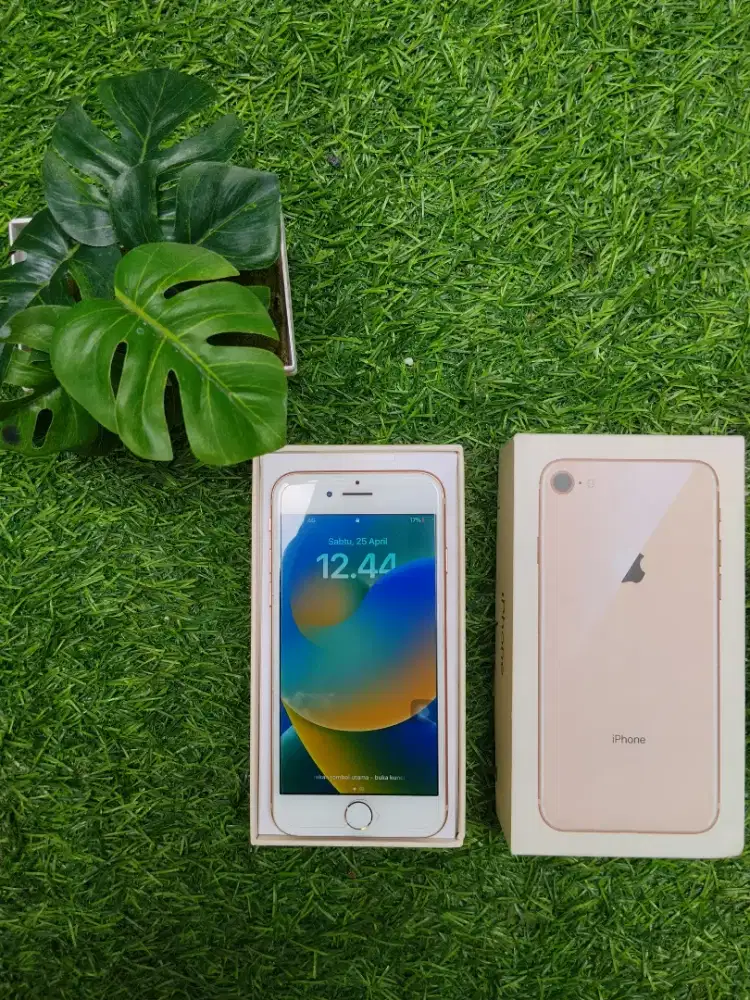 Apple iPhone 8 256GB Gold – BH 100% Mulus – Kapasitas Terbesar & Awet!