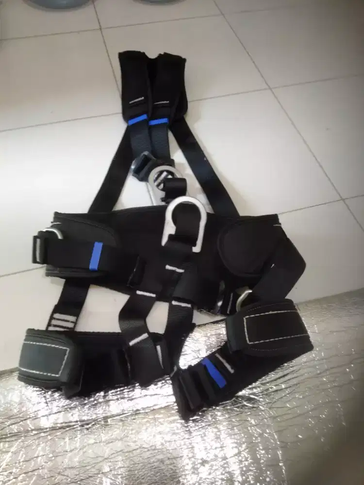Full body harness