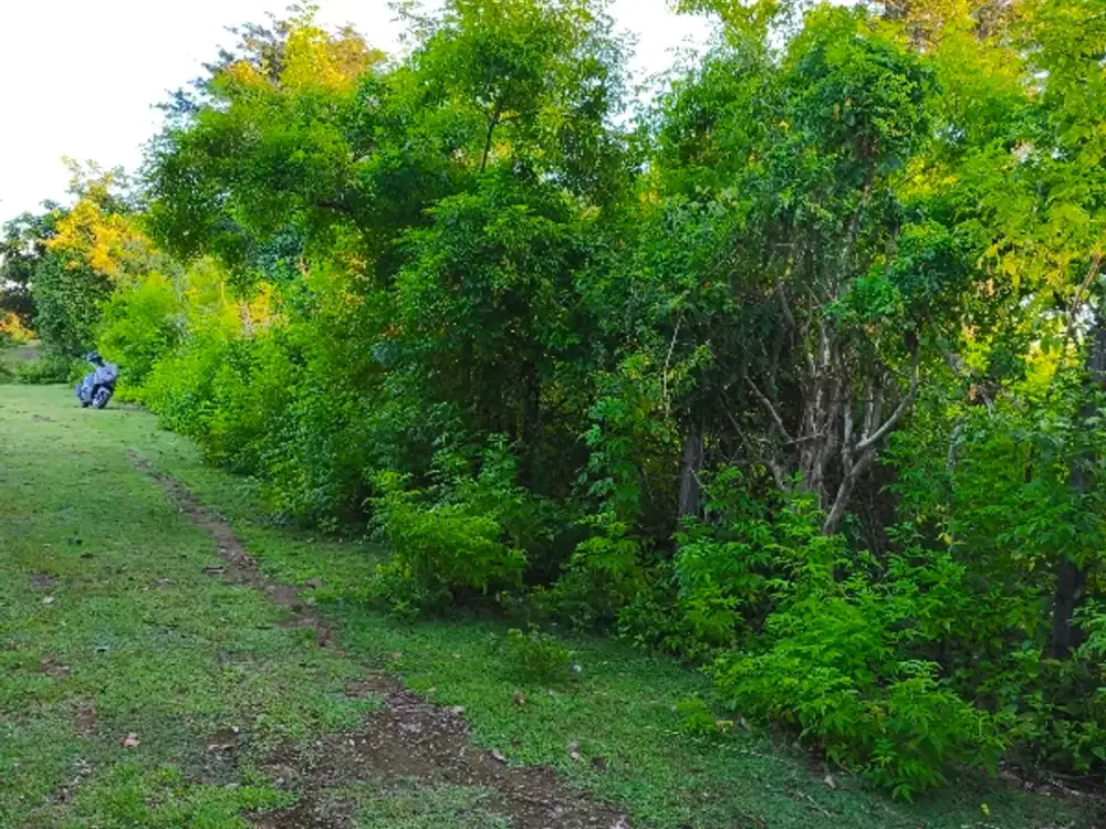 dijual tanah kawasan balangan jimbaran Kuta Selatan Badung Bali