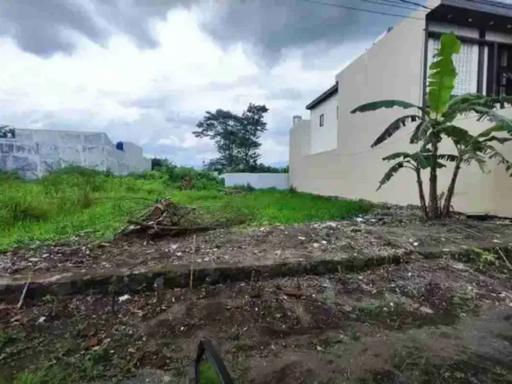 Tanah Ikan Emas Dekat Cafe Sudimoro Kota Malang