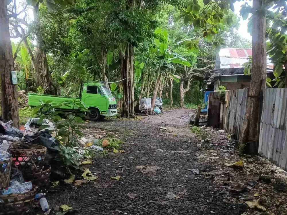 dijual tanah 5 are IDR 550 juta per are Kawasan kampus unud jimbaran Kuta Selatan Badung Bali